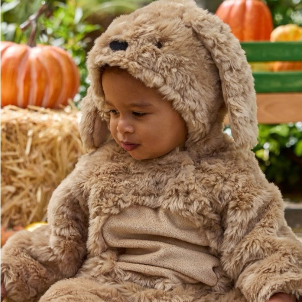 Pottery Barn Dog Costume